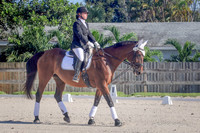 2015-9-7 Lazy Meadows Dressage Test