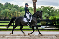 445 Amberly