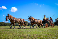 2017-12-2 Grand Oaks Carriage Drive