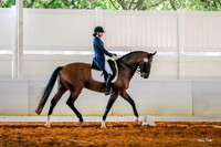 2017-8-20 Suncoast Dressage Riders