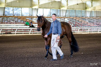 Baroque Show Saturday Arena