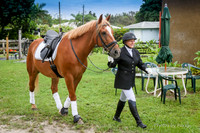 2015-8-30 Dressage at Lazy Meadows