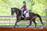 2024-3-23 Hartley Dressage