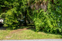 2024-6-26 Barrow Ave Tavares Lot
