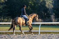 268 Heidi