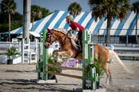 Seacrest Stables