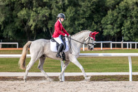 2023-12-2 Hartley Dressage