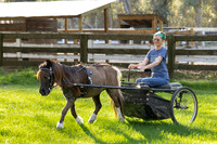 2026-1-24 Fantasy Farms Lesson