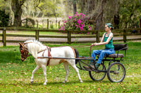 2026-3-14 Cheyenne Clinic at Honey's Mini Therapy Adventures