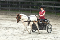 2026-10-24 Ponies and Palms Show